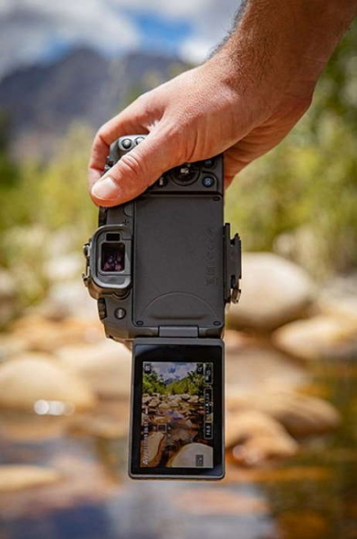 Испытание Африкой: первая съемка на полнокадровую беззеркальную камеру Canon EOS RP