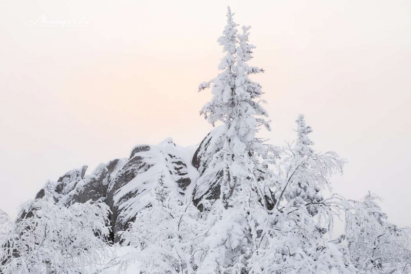 Проверка Canon EOS R уральской зимой