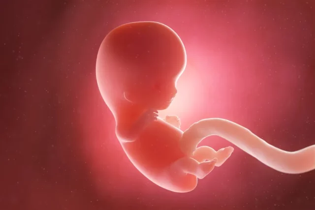 Китайцы создали «Матрицу». Запущена нейросеть для выращивания эмбрионов в искусственных матках